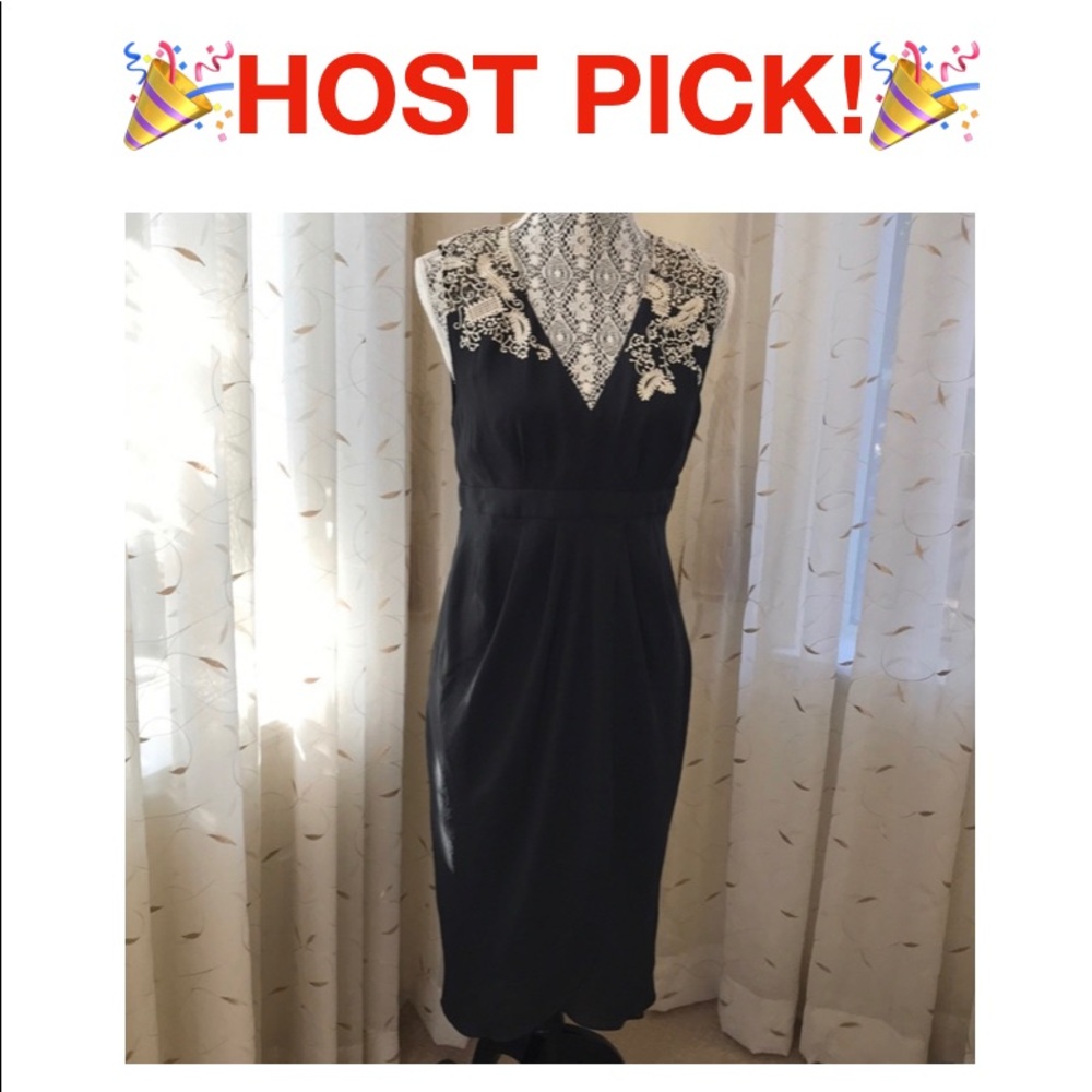 Anthropologie MeadowRue chiffon dress w lacetrim